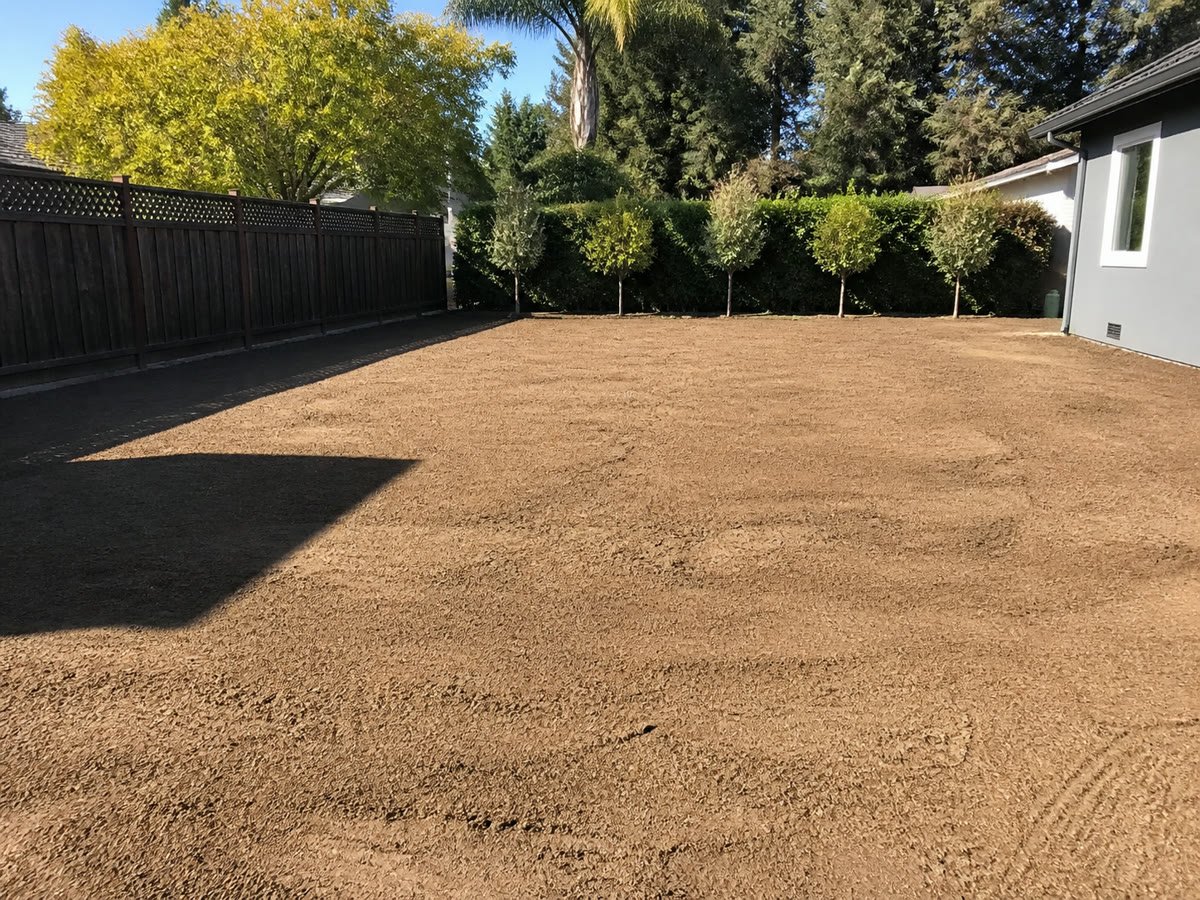 Completely leveled backyard after pool removal, ready to landscape